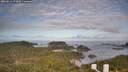 ./images/calvert/lookout/20260511/lookout20260511_074501M.jpg