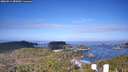 ./images/calvert/lookout/20260511/lookout20260511_082002M.jpg