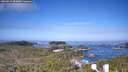 ./images/calvert/lookout/20260511/lookout20260511_083001M.jpg