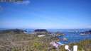 ./images/calvert/lookout/20260511/lookout20260511_084501M.jpg