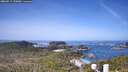 ./images/calvert/lookout/20260511/lookout20260511_102001M.jpg