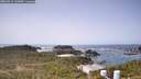 ./images/calvert/lookout/20260511/lookout20260511_122001M.jpg