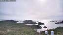 ./images/calvert/lookout/20260511/lookout20260511_175001M.jpg