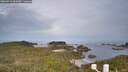 ./images/calvert/lookout/20260512/lookout20260512_063001M.jpg