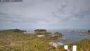 ./images/calvert/lookout/20260512/lookout20260512_082001M.jpg
