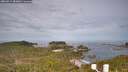 ./images/calvert/lookout/20260512/lookout20260512_083001M.jpg