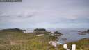 ./images/calvert/lookout/20260512/lookout20260512_091501M.jpg