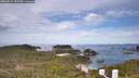 ./images/calvert/lookout/20260512/lookout20260512_103501M.jpg