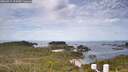 ./images/calvert/lookout/20260512/lookout20260512_105001M.jpg