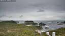 ./images/calvert/lookout/20260513/lookout20260513_111001M.jpg