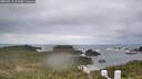 ./images/calvert/lookout/20260513/lookout20260513_114501M.jpg