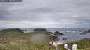 ./images/calvert/lookout/20260513/lookout20260513_115001M.jpg