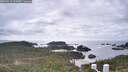 ./images/calvert/lookout/20260513/lookout20260513_162001M.jpg