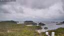 ./images/calvert/lookout/20260514/lookout20260514_091002M.jpg
