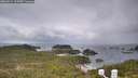 ./images/calvert/lookout/20260514/lookout20260514_115501M.jpg