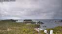 ./images/calvert/lookout/20260514/lookout20260514_121502M.jpg