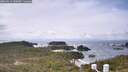 ./images/calvert/lookout/20260515/lookout20260515_140501M.jpg