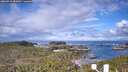 ./images/calvert/lookout/20260516/lookout20260516_083001M.jpg
