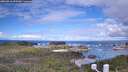 ./images/calvert/lookout/20260516/lookout20260516_093501M.jpg