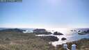 ./images/calvert/lookout/20260516/lookout20260516_172001M.jpg
