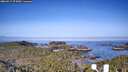 ./images/calvert/lookout/20260517/lookout20260517_074501M.jpg