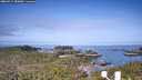 ./images/calvert/lookout/20260517/lookout20260517_083001M.jpg
