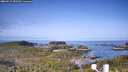 ./images/calvert/lookout/20260517/lookout20260517_083501M.jpg