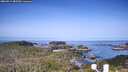 ./images/calvert/lookout/20260517/lookout20260517_085501M.jpg