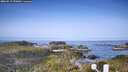 ./images/calvert/lookout/20260517/lookout20260517_090001M.jpg