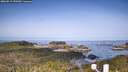 ./images/calvert/lookout/20260517/lookout20260517_090501M.jpg
