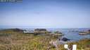 ./images/calvert/lookout/20260517/lookout20260517_091001M.jpg