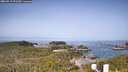 ./images/calvert/lookout/20260517/lookout20260517_092501M.jpg