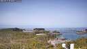 ./images/calvert/lookout/20260517/lookout20260517_093002M.jpg