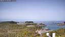 ./images/calvert/lookout/20260517/lookout20260517_093501M.jpg