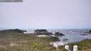 ./images/calvert/lookout/20260517/lookout20260517_123001M.jpg