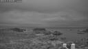 ./images/calvert/lookout/20260518/lookout20260518_050502M.jpg