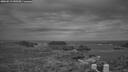 ./images/calvert/lookout/20260519/lookout20260519_045501M.jpg