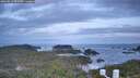 ./images/calvert/lookout/20260519/lookout20260519_053501M.jpg