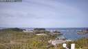 ./images/calvert/lookout/20260519/lookout20260519_094001M.jpg
