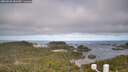 ./images/calvert/lookout/20260520/lookout20260520_081002M.jpg