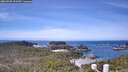 ./images/calvert/lookout/20260520/lookout20260520_113501M.jpg