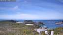 ./images/calvert/lookout/20260520/lookout20260520_114001M.jpg
