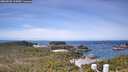 ./images/calvert/lookout/20260520/lookout20260520_114501M.jpg