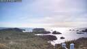 ./images/calvert/lookout/20260520/lookout20260520_174001M.jpg