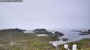 ./images/calvert/lookout/20260521/lookout20260521_115501M.jpg