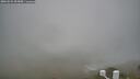 ./images/calvert/lookout/20260522/lookout20260522_055001M.jpg