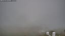 ./images/calvert/lookout/20260522/lookout20260522_062501M.jpg