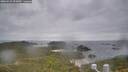 ./images/calvert/lookout/20260523/lookout20260523_093002M.jpg