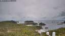 ./images/calvert/lookout/20260524/lookout20260524_073002M.jpg