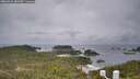 ./images/calvert/lookout/20260524/lookout20260524_083501M.jpg